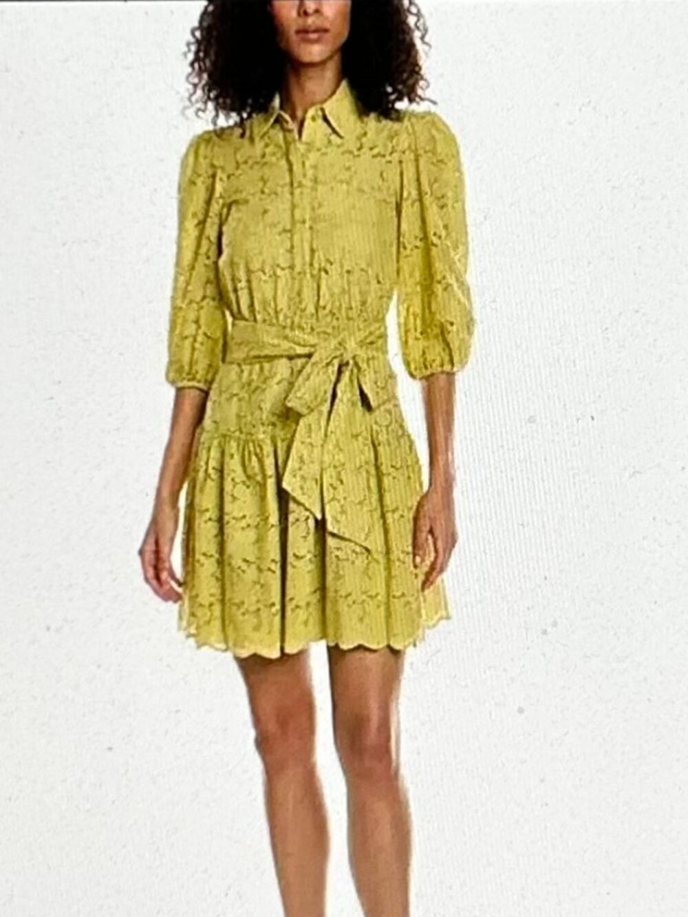 TAYLOR Eyelet Mini Dress with belt in Kiwi Color Size 12